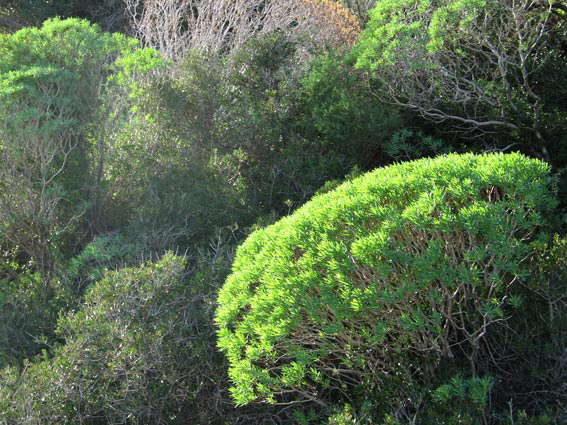 (c)  Barbara van B�rck