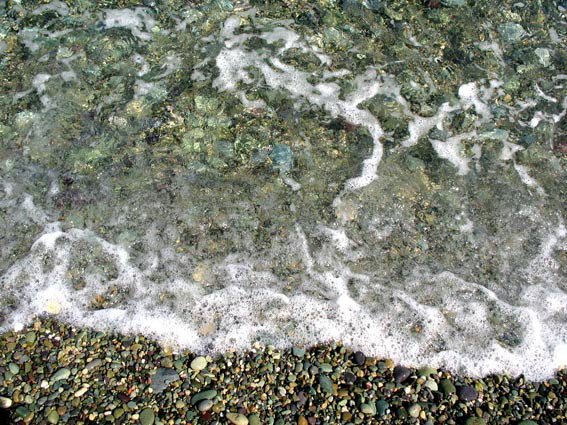 (c)  Barbara van Brck